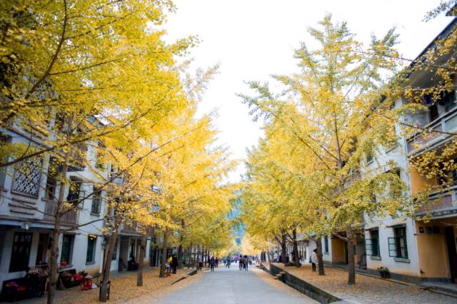 南雄帽子峰旅游景区