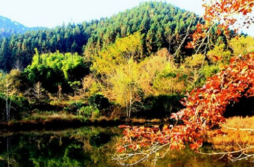 /uploads/image/2025/12/01/b42f86b7e5b65f668d8810a91ed83eeb.png /uploads/image/2025/12/01/b42f86b7e5b65f668d8810a91ed83eeb.png