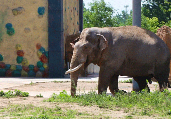 /uploads/image/2025/12/01/a580af0616cae4517e136a61362db7ae.png /uploads/image/2025/12/01/a580af0616cae4517e136a61362db7ae.png