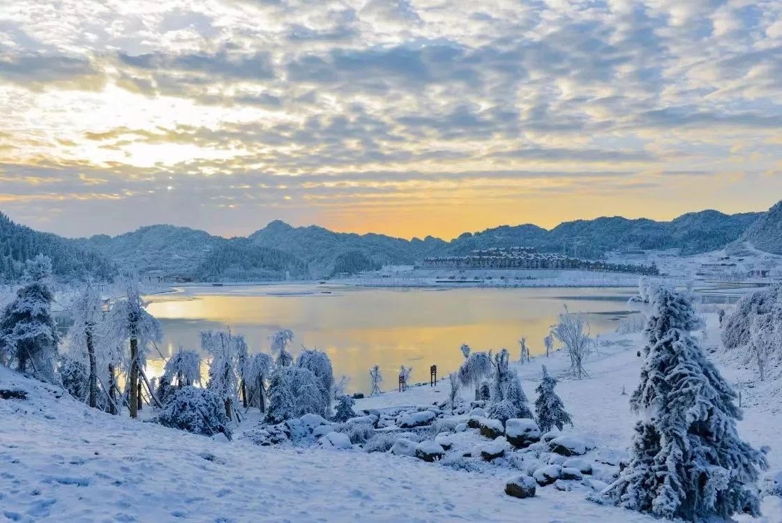 /uploads/image/2025/12/01/7ebbfd9fb6d35faaed443705e407925e.jpg /uploads/image/2025/12/01/7ebbfd9fb6d35faaed443705e407925e.jpg