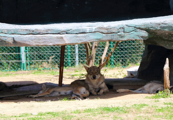 /uploads/image/2025/12/01/95d97117109026401e5e94752bc22b4e.png /uploads/image/2025/12/01/95d97117109026401e5e94752bc22b4e.png