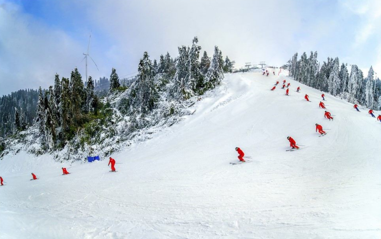 /uploads/image/2025/12/01/d9487989df1e5fc8d97fa7004539a219.png /uploads/image/2025/12/01/d9487989df1e5fc8d97fa7004539a219.png