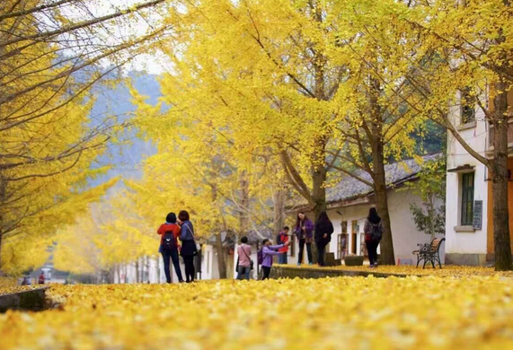 /uploads/image/2025/12/01/c90cabcc9946b064b96e1c4d2798dc81.png /uploads/image/2025/12/01/c90cabcc9946b064b96e1c4d2798dc81.png