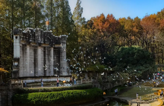 南京音乐台 南京音乐台