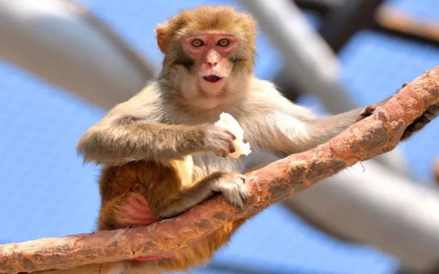 /uploads/image/2025/12/02/540313f5585564e1e5cc397cae218f3a.jpg /uploads/image/2025/12/02/540313f5585564e1e5cc397cae218f3a.jpg