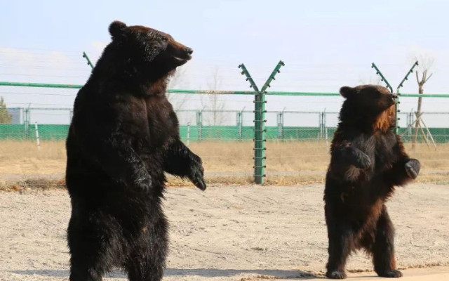 /uploads/image/2025/12/02/16e73e533dfdf2b582bc8e83946d49aa.jpg /uploads/image/2025/12/02/16e73e533dfdf2b582bc8e83946d49aa.jpg