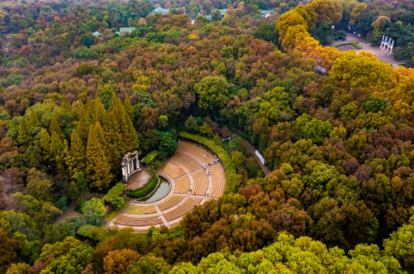 南京音乐台 南京音乐台