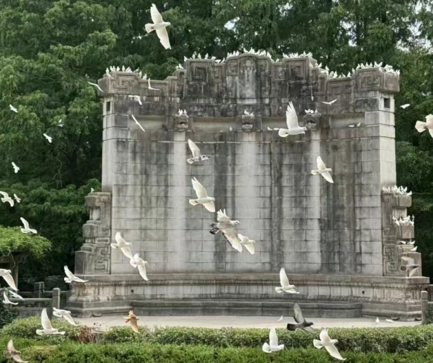 /uploads/image/2025/12/02/1b8f09a7d90294faacabc20e7fa2409e.png /uploads/image/2025/12/02/1b8f09a7d90294faacabc20e7fa2409e.png