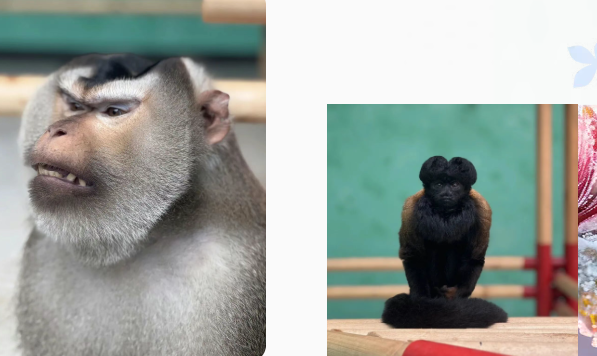 /uploads/image/2025/12/03/0b4799043f31a0f8e3dd545fa5201868.png /uploads/image/2025/12/03/0b4799043f31a0f8e3dd545fa5201868.png