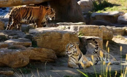 /uploads/image/2025/12/03/195444974cffaab03a0bd654665f4c14.png /uploads/image/2025/12/03/195444974cffaab03a0bd654665f4c14.png