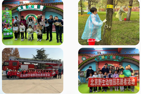 /uploads/image/2025/12/03/743cfe9f03f2ff126e00878ef98eec43.png /uploads/image/2025/12/03/743cfe9f03f2ff126e00878ef98eec43.png