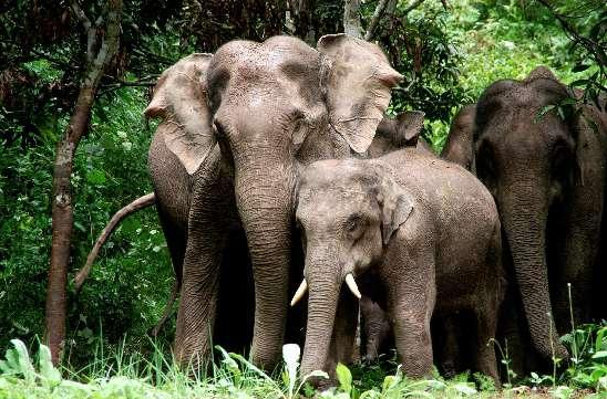 /uploads/image/2025/12/03/aa7e2e359fcd04fa58ea7a76f3c6737a.png image.png