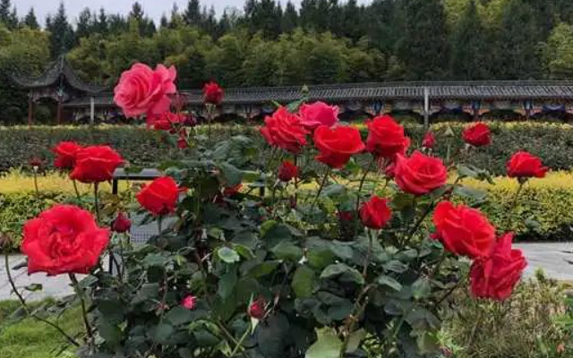 /uploads/image/2025/12/04/0e5c1a5e98625714740316f058cebedf.jpg e98e4063c5fdd8247188b58fd7ed2a7e.jpg