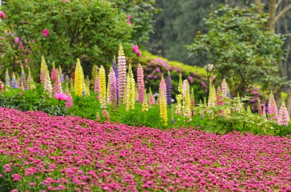 /uploads/image/2025/12/04/26f98d73a96109fca851d0b771585e08.png /uploads/image/2025/12/04/26f98d73a96109fca851d0b771585e08.png