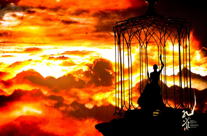 杨丽萍舞剧《孔雀》郑州站