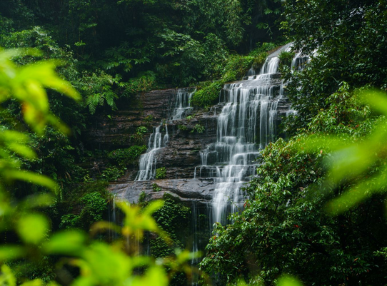 /uploads/image/2025/12/04/585a074821f8918fc1bc5333dc791ccd.png /uploads/image/2025/12/04/585a074821f8918fc1bc5333dc791ccd.png