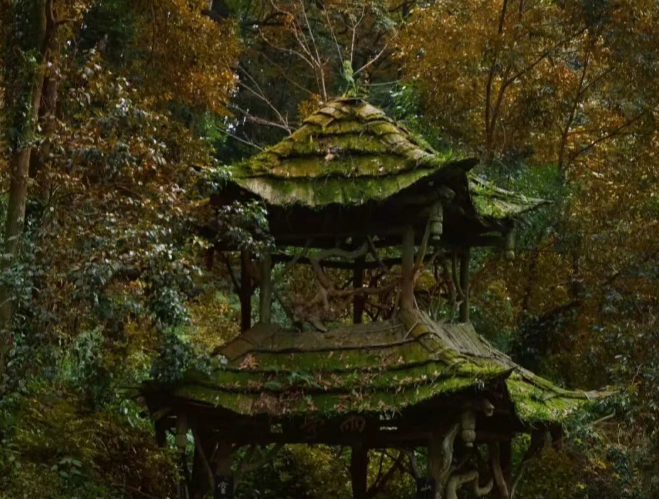 /uploads/image/2025/12/04/4b459e5e58e8cd422560a5a96eb7e624.png /uploads/image/2025/12/04/4b459e5e58e8cd422560a5a96eb7e624.png