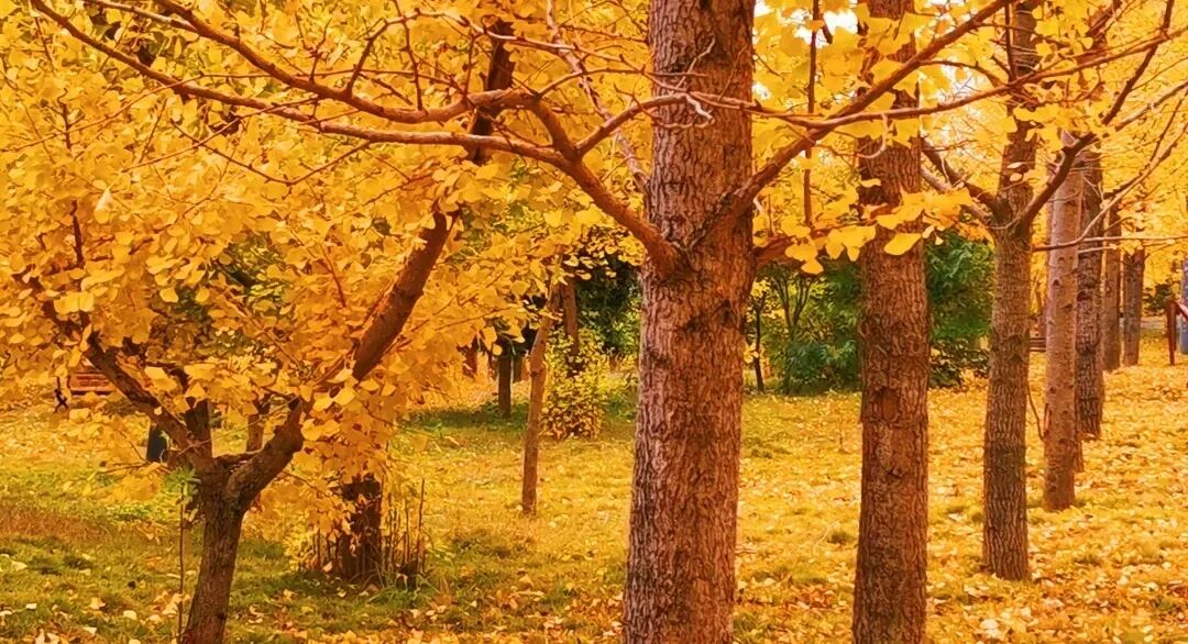 贵州农业博览园