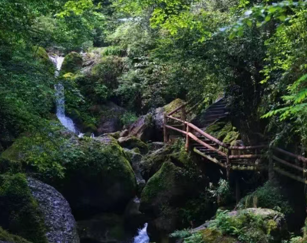 /uploads/image/2025/12/04/9c5694081772592b942e66fbd8c0adfd.png /uploads/image/2025/12/04/9c5694081772592b942e66fbd8c0adfd.png