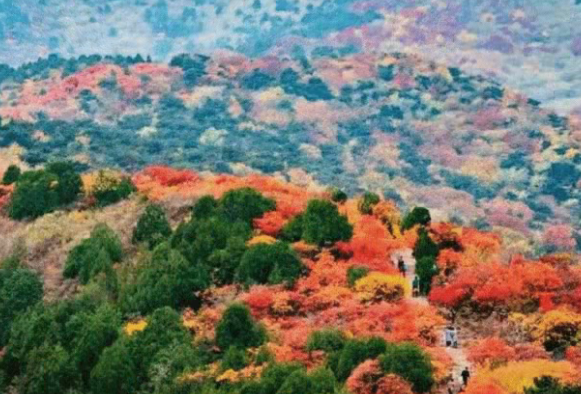 /uploads/image/2025/12/04/46bc3265dede989a5deda9b7a181be7f.png /uploads/image/2025/12/04/46bc3265dede989a5deda9b7a181be7f.png