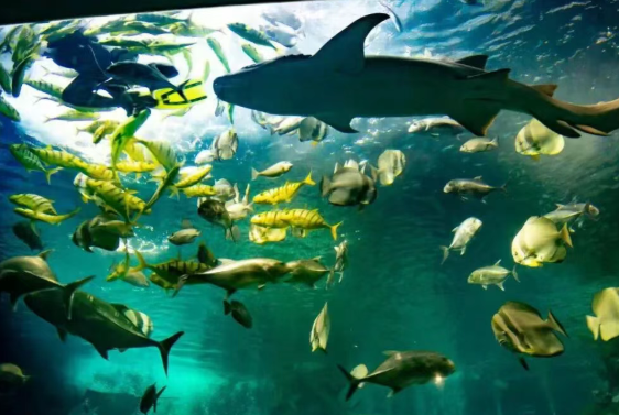 /uploads/image/2025/12/04/8328c6b33711ba4bb7da51c0373e4af5.png /uploads/image/2025/12/04/8328c6b33711ba4bb7da51c0373e4af5.png