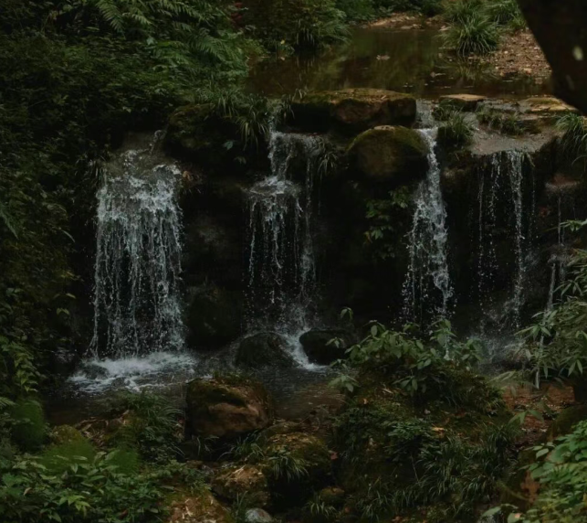 /uploads/image/2025/12/04/2a52f99a6557fc74a27446043512bb0f.png /uploads/image/2025/12/04/2a52f99a6557fc74a27446043512bb0f.png