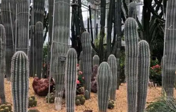 /uploads/image/2025/12/04/385521fbc73db10b43d890ccaf58196e.png /uploads/image/2025/12/04/385521fbc73db10b43d890ccaf58196e.png