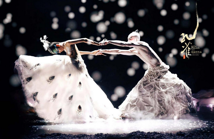 杨丽萍舞剧《孔雀》郑州站