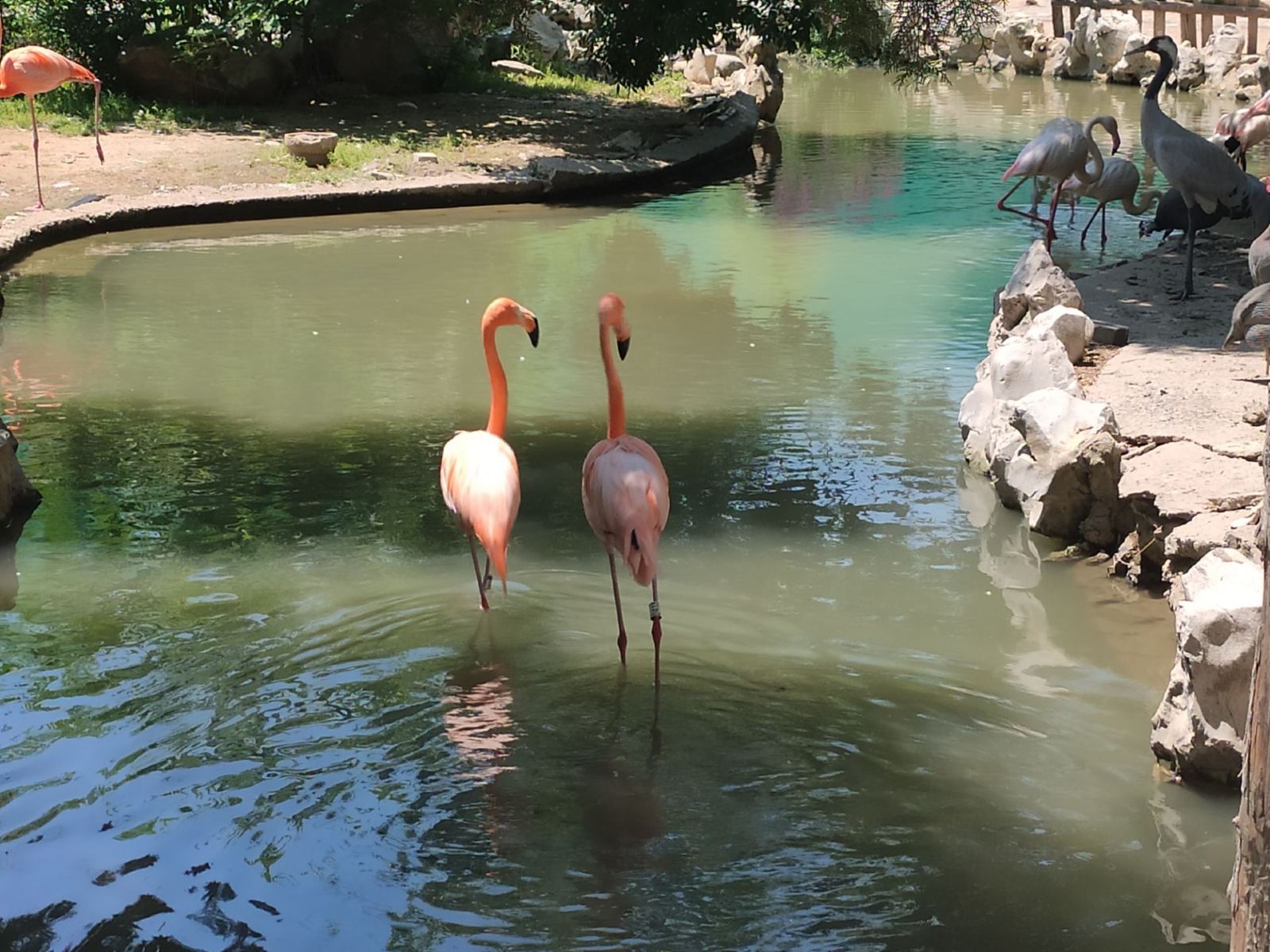 /uploads/image/2025/12/04/b8e7b6e6e8f10bed037c55c2e7bce8d0.jpg /uploads/image/2025/12/04/b8e7b6e6e8f10bed037c55c2e7bce8d0.jpg