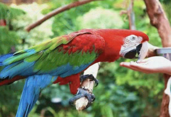 /uploads/image/2025/12/04/e13078352b2f7baa6171cfb1e2d3e3f0.png /uploads/image/2025/12/04/e13078352b2f7baa6171cfb1e2d3e3f0.png