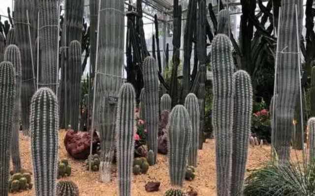 /uploads/image/2025/12/04/d6922722cf6660b84cbd2ddc7b0b8e3f.jpg db226b3ea9411fe4d7c18cbb77e351ea.jpg