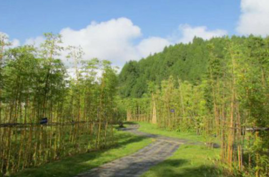 /uploads/image/2025/12/04/bdeafcc9f4b6a5cf1735484be897ea4d.png /uploads/image/2025/12/04/bdeafcc9f4b6a5cf1735484be897ea4d.png