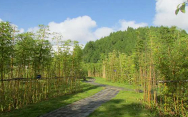 /uploads/image/2025/12/04/cbaf6e7106ee3d184b19bf64216d5f73.jpg 7236dd2e62b63ca14a2d4ff1f42fda95.jpg