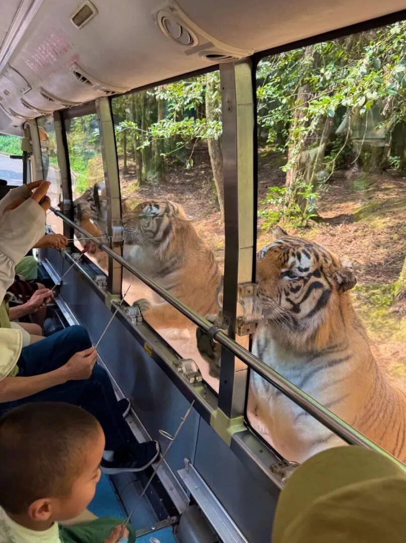 碧峰峡野生动物世界