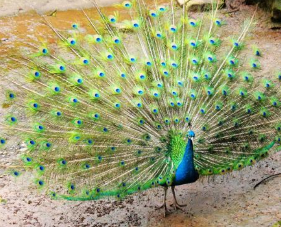 /uploads/image/2025/12/05/108611911c774054b1f658b77b5b7814.png /uploads/image/2025/12/05/108611911c774054b1f658b77b5b7814.png