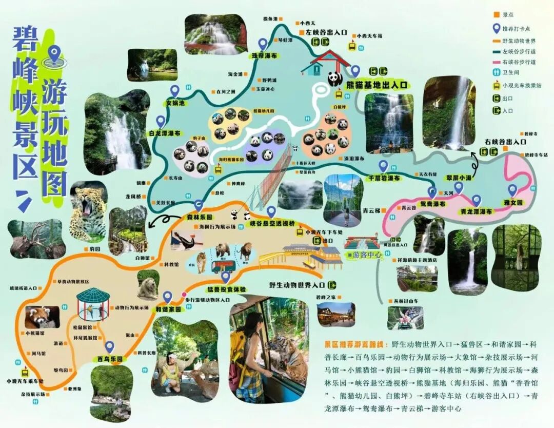 碧峰峡野生动物世界