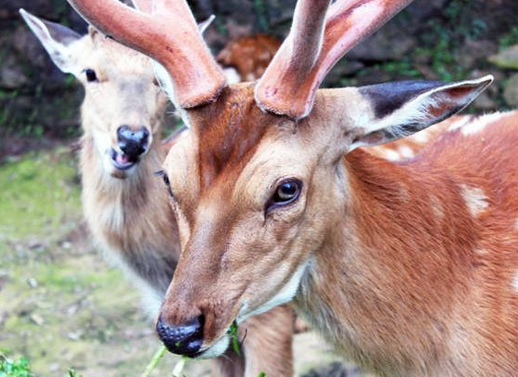 /uploads/image/2025/12/05/9248c8be71f0e68e68d47dc417ca52a5.png /uploads/image/2025/12/05/9248c8be71f0e68e68d47dc417ca52a5.png