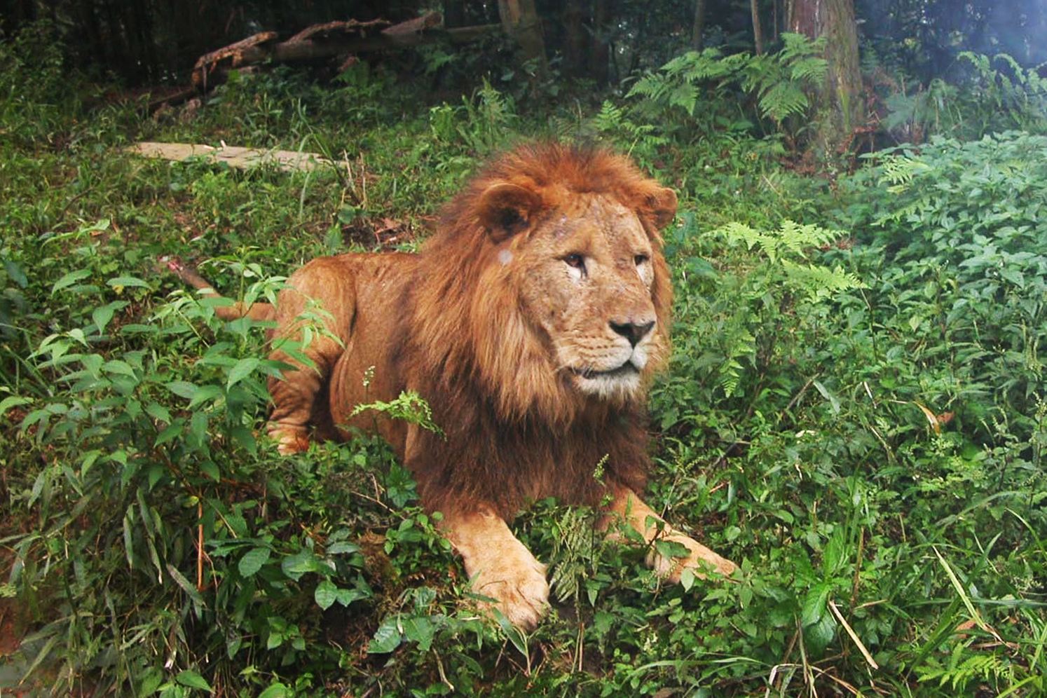 /uploads/image/2025/12/05/4a136390bf6e9754c59359b40bcab452.jpg /uploads/image/2025/12/05/4a136390bf6e9754c59359b40bcab452.jpg