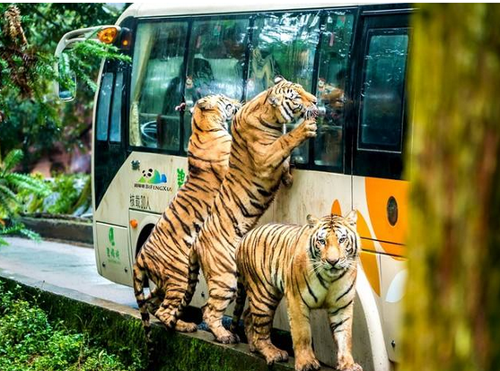 /uploads/image/2025/12/05/ae7d220b05ea36c7ec08ddc7f7cd8daa.png /uploads/image/2025/12/05/ae7d220b05ea36c7ec08ddc7f7cd8daa.png