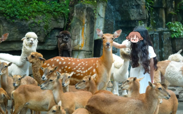 碧峰峡野生动物世界