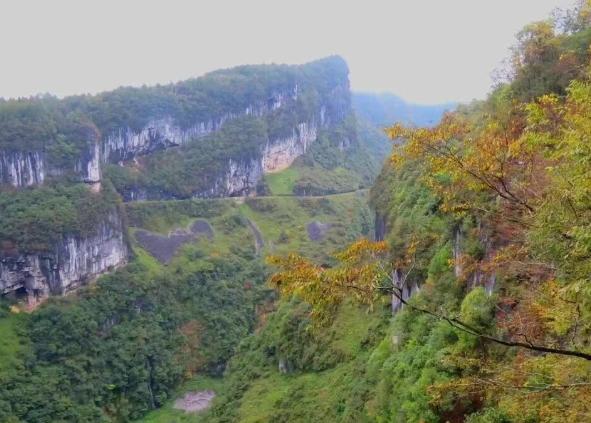 /uploads/image/2025/12/06/315df43a41d71e8e269e985be5c0ac8a.png /uploads/image/2025/12/06/315df43a41d71e8e269e985be5c0ac8a.png