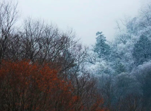 /uploads/image/2025/12/06/f89d8f51af7d9744737466f1ac941efe.png /uploads/image/2025/12/06/f89d8f51af7d9744737466f1ac941efe.png