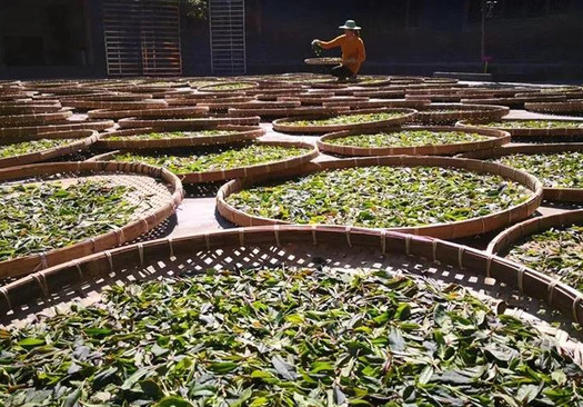 /uploads/image/2025/12/06/cedf88940398b046455acd9dc244be8a.png /uploads/image/2025/12/06/cedf88940398b046455acd9dc244be8a.png