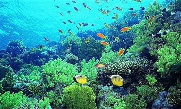 /uploads/image/2025/12/06/54fc77faf4b41d6871f46886482a9ec1.png /uploads/image/2025/12/06/54fc77faf4b41d6871f46886482a9ec1.png