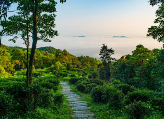 /uploads/image/2025/12/06/6487d0a7a2f389c10660d2db4489d546.png /uploads/image/2025/12/06/6487d0a7a2f389c10660d2db4489d546.png