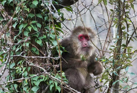 /uploads/image/2025/12/06/1c0c2b213ef07d271f9a0a47ad878ca0.png /uploads/image/2025/12/06/1c0c2b213ef07d271f9a0a47ad878ca0.png