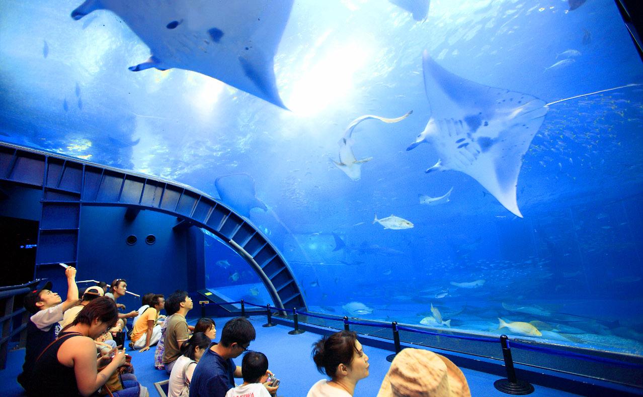 /uploads/image/2025/12/06/a3527f5c63cdc16635640997f3928b19.jpg /uploads/image/2025/12/06/a3527f5c63cdc16635640997f3928b19.jpg