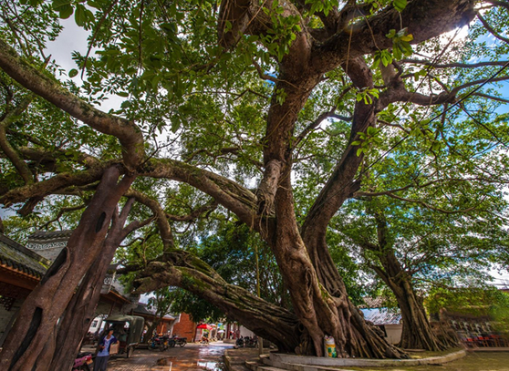 /uploads/image/2025/12/06/637dab72290e67abc9565b8e4b93d339.png /uploads/image/2025/12/06/637dab72290e67abc9565b8e4b93d339.png