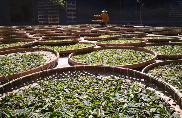 /uploads/image/2025/12/06/df84edea2e73c9b3f75b11b61b8e996f.jpg /uploads/image/2025/12/06/df84edea2e73c9b3f75b11b61b8e996f.jpg