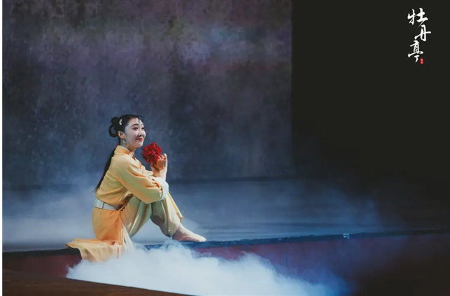 /uploads/image/2025/12/06/503f20682850103f8c17a4c0220d18b0.png 图片.png